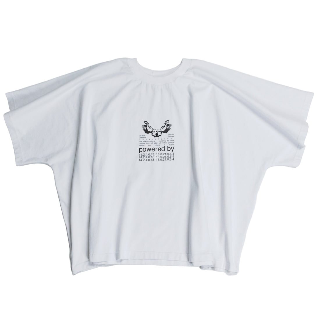 THE TSHIRT